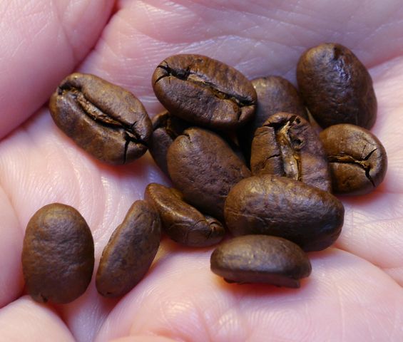ROKUMEIコーヒーの豆の画像